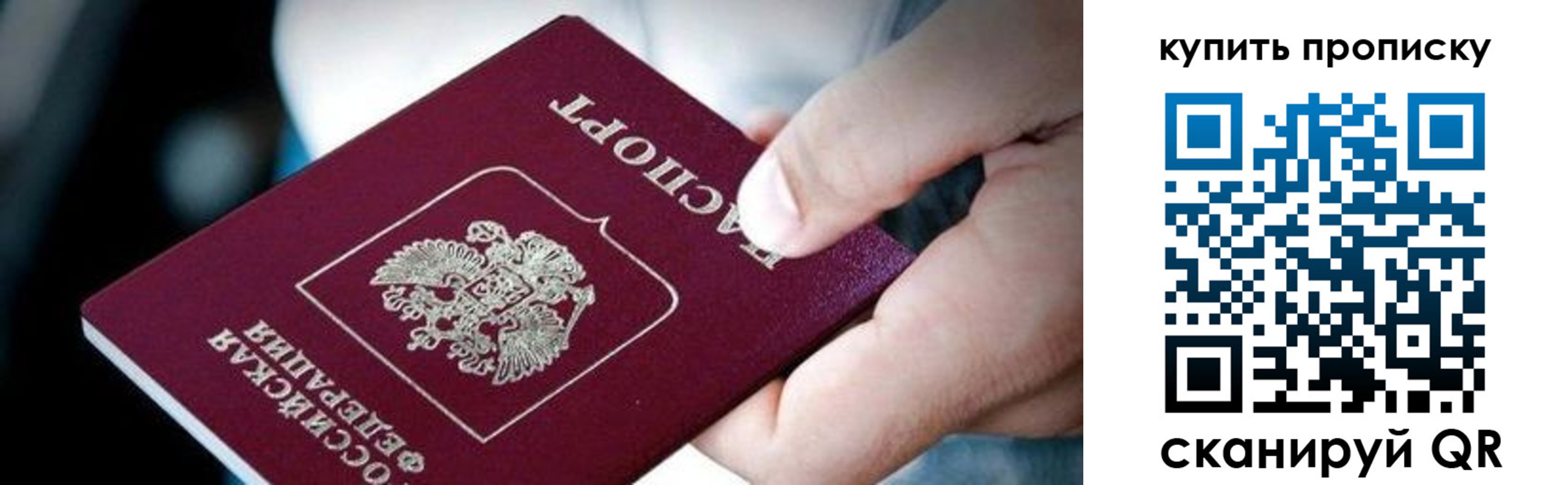прописка поиск в Камешково